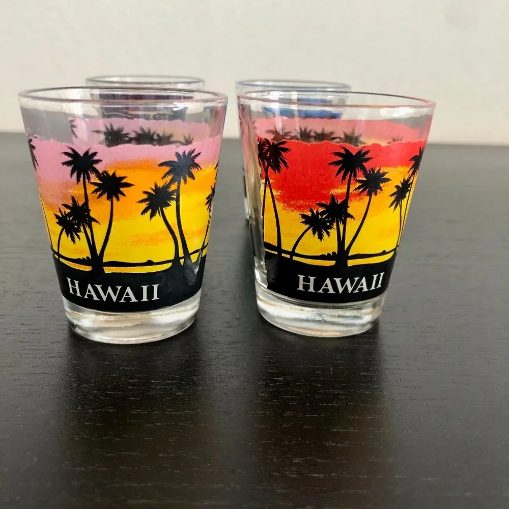 Set of 4 Shot Glasses from HAWAII